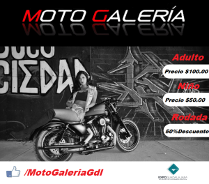 motogaleria5