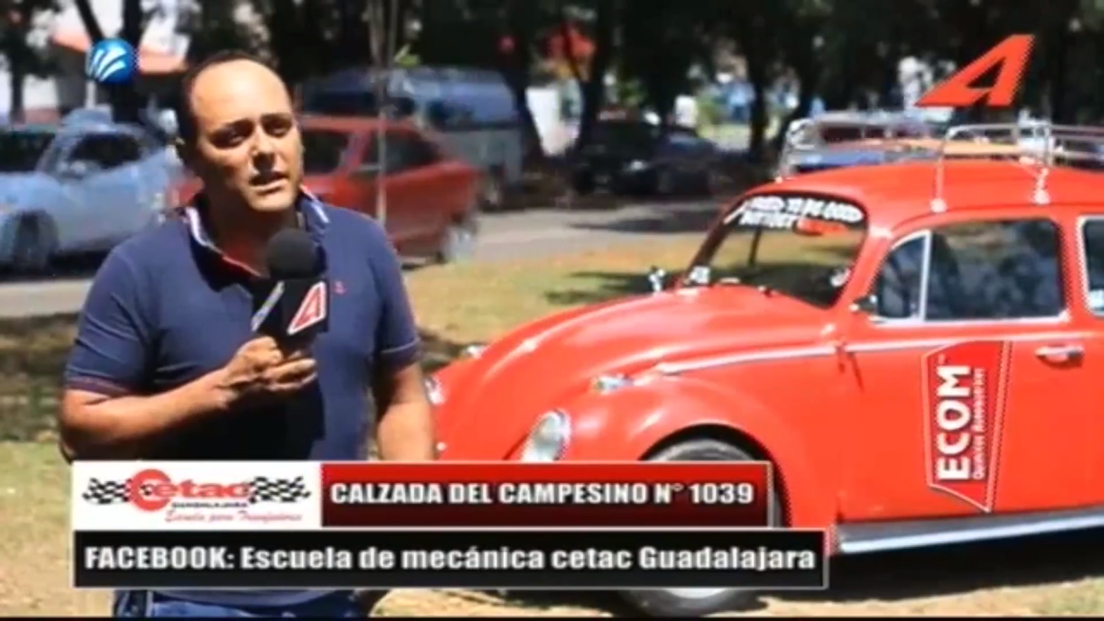 Auto de la semana volkswagen 1966 solitarios volks tlajomulco