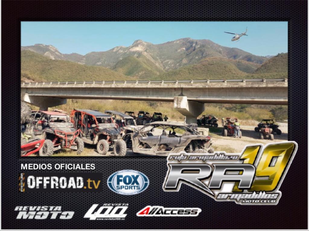 Armadillazo en la mira!!!