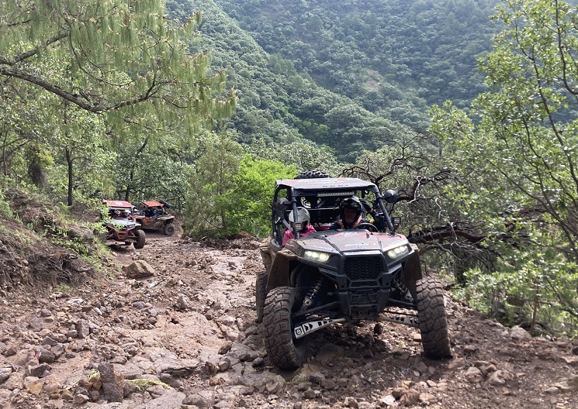 Cantaritos, cantaritos